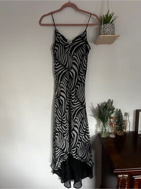 Black & white zebra print dress